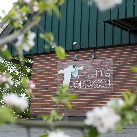 Nils Holgersson - 5 *